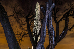 washington-13