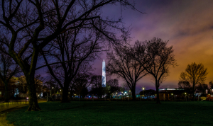 Washington Monument through the trees