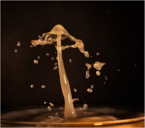 Water drop splash