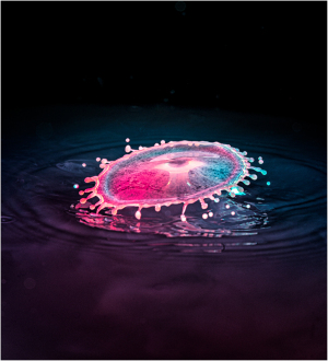 water drop splash