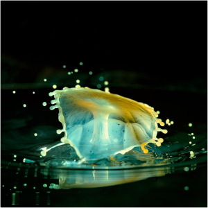 water-drops-64
