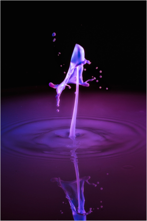 Water Drop