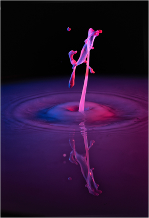 Water Drops