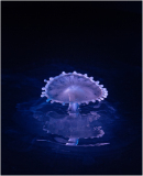 water drop splash