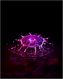 water drop splash
