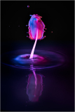 Water Drops