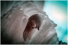 A close-up of a surreal, textured formation in eerie colors.