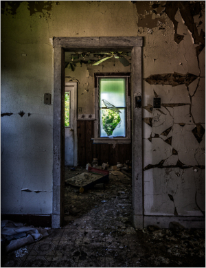 View through a doorway into a dilapidated room with peeling walls.