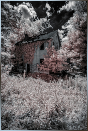 Abandoned house overgrown with vegetation under a dramatic sky
