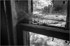 Close-up of a dusty window with cobwebs and debris in black and white.