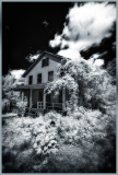 An overgrown house surrounded by dense vegetation and clouds in a black and white photo.