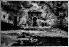 Black and white image of an overgrown house surrounded by trees
