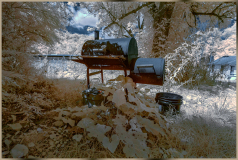 An old grill surrounded by overgrown plants in an infrared landscape.