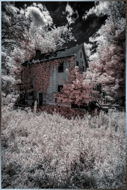 Abandoned house overgrown with vegetation under a dramatic sky