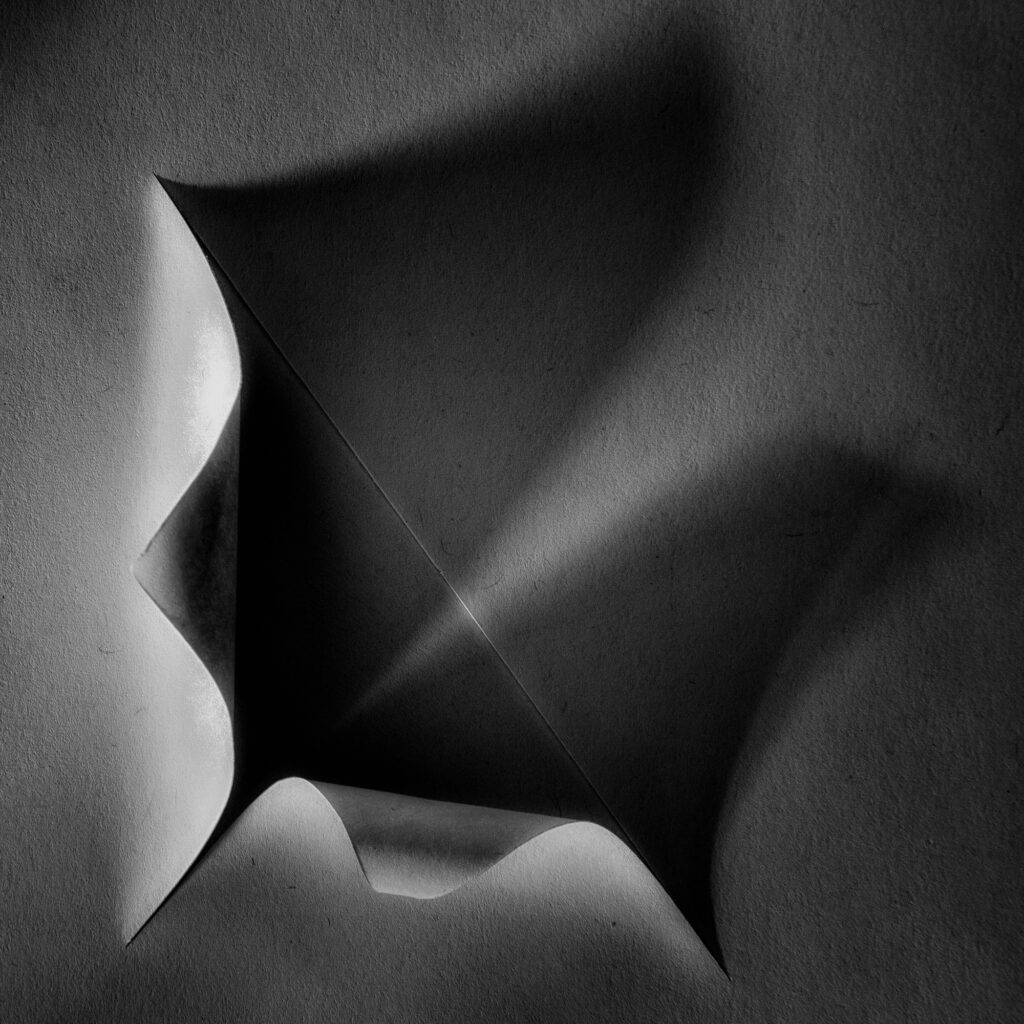 Paper Sculpture Series