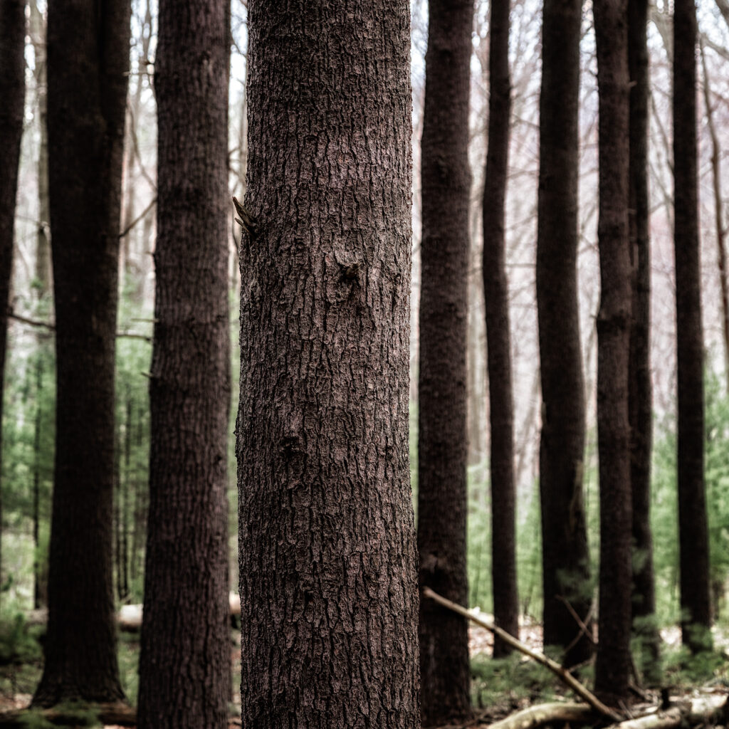 Vertical Compositions