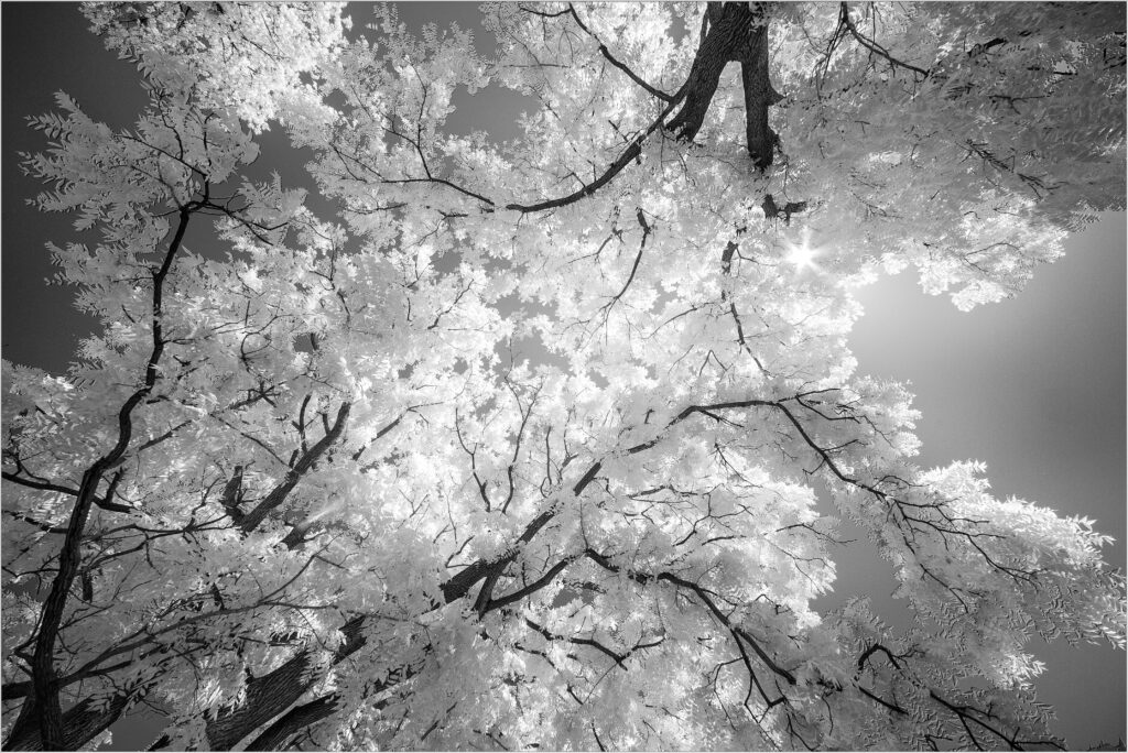Infrared