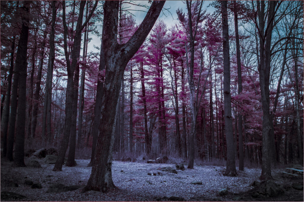 Infrared and visible mixed