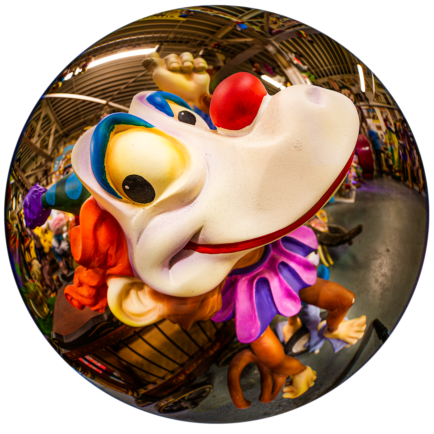 The Weird Magic of a Fisheye Lens