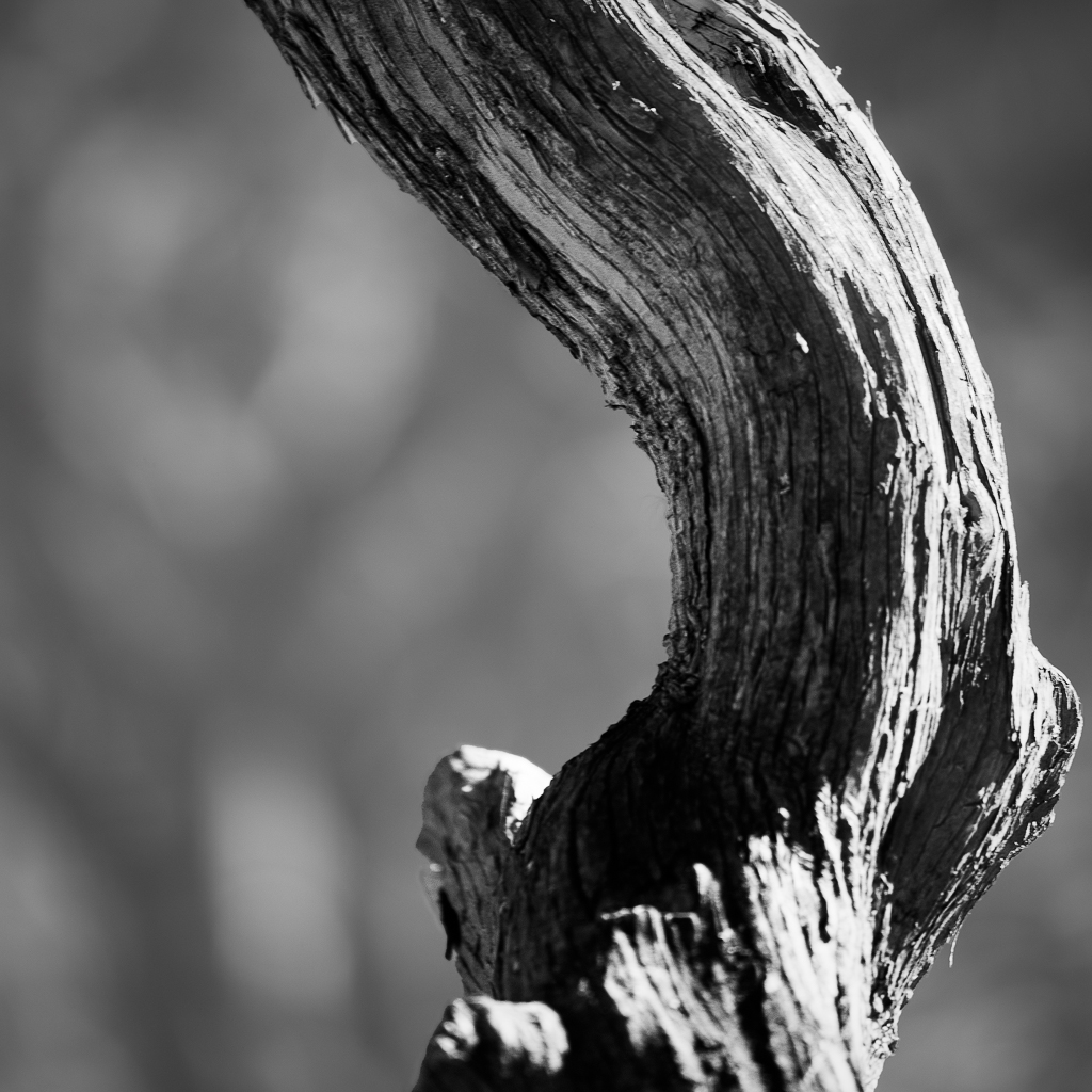 Twist and Grain