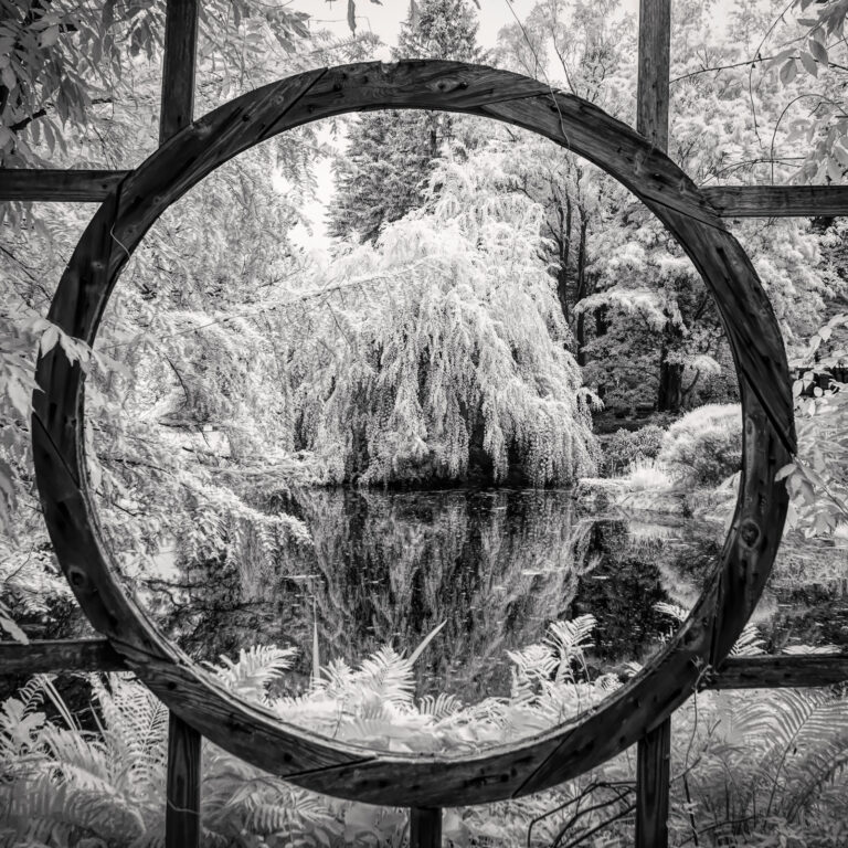 Seeing the Unseen: Why Infrared Photography