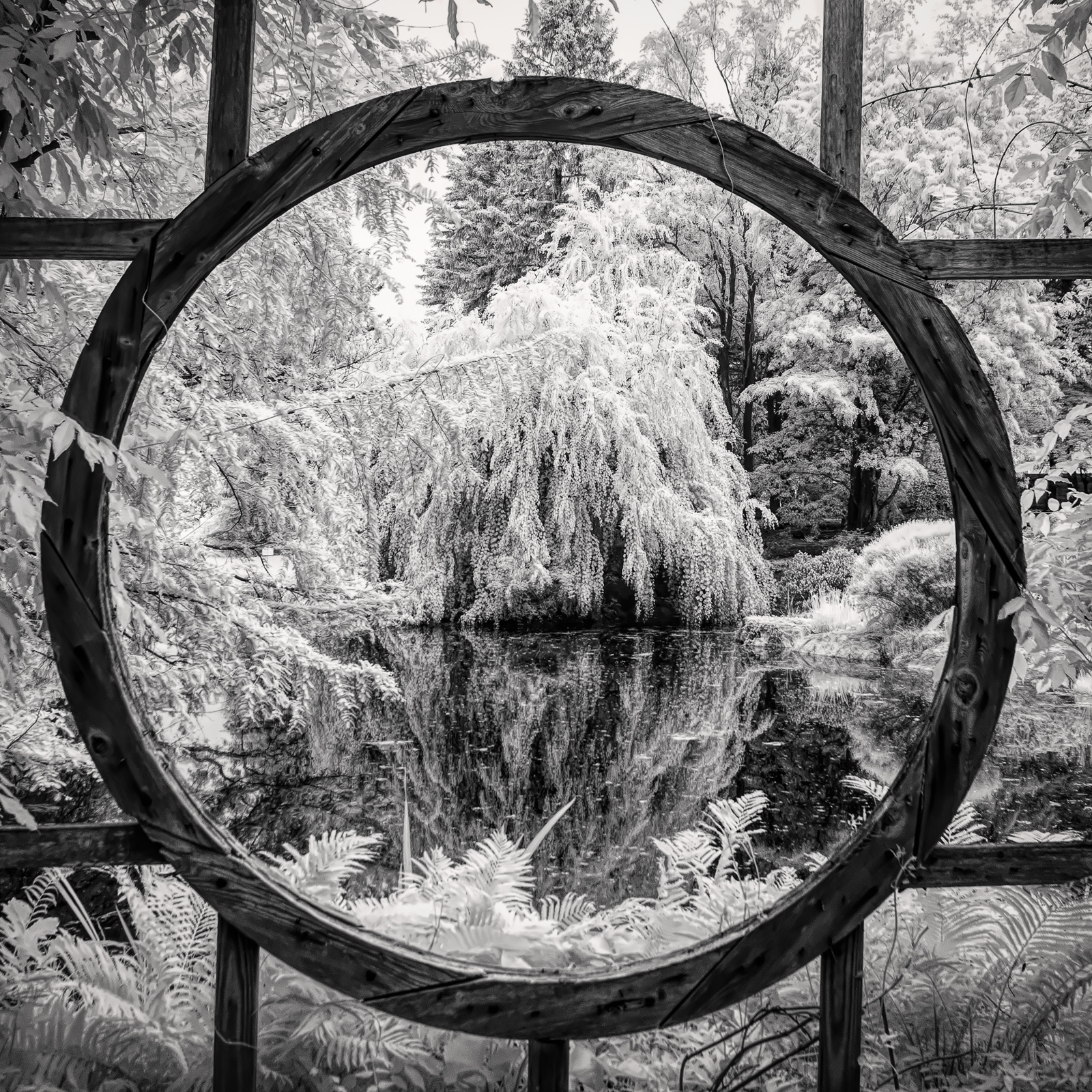 Seeing the Unseen: Why Infrared Photography